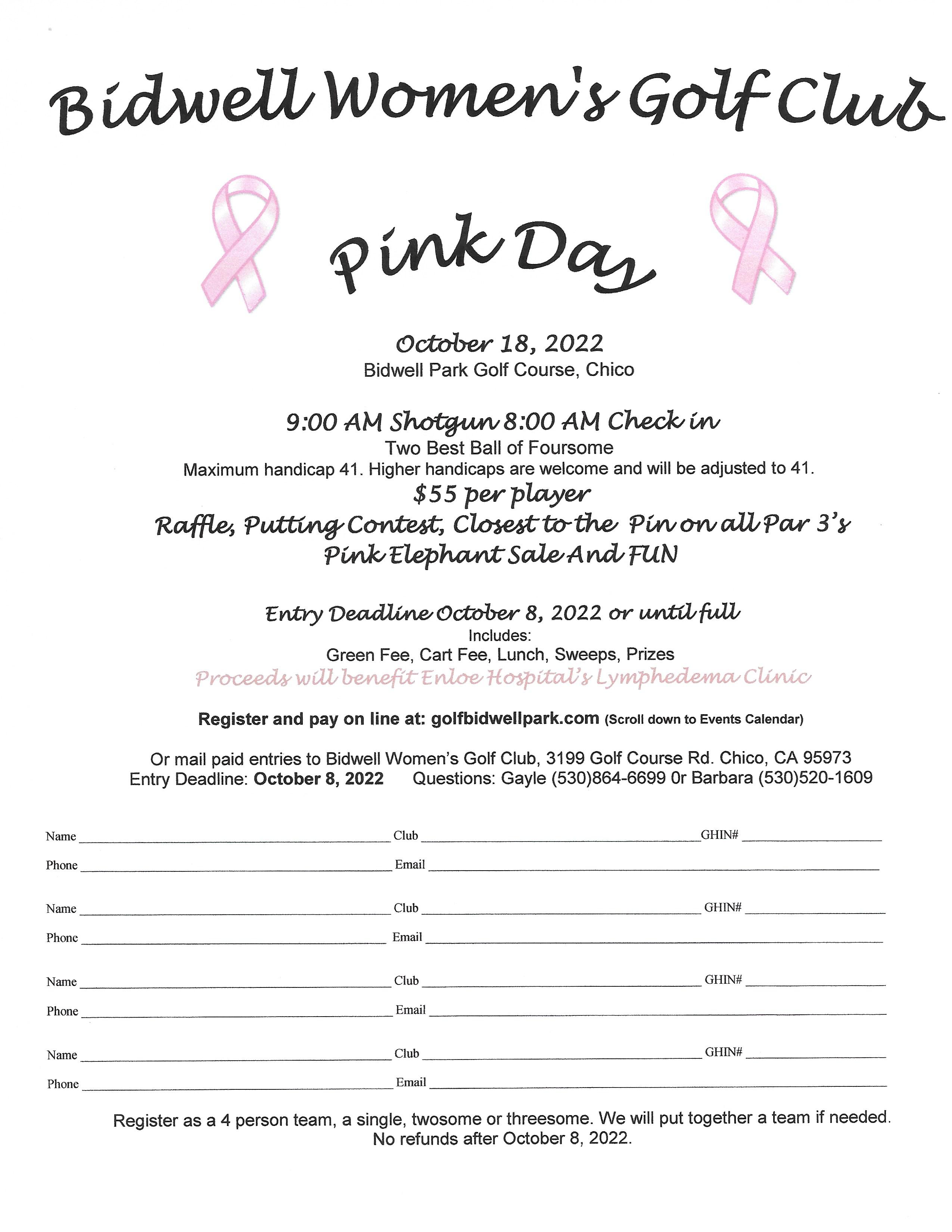Pink Day Flyer 2022 final